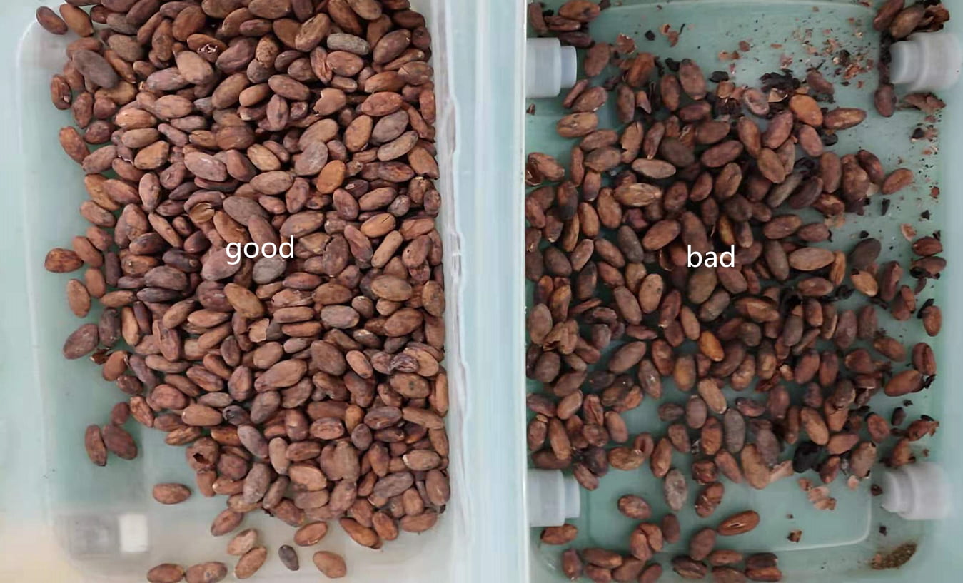 color sorter for cocoa bean color sorter for cocoa bean