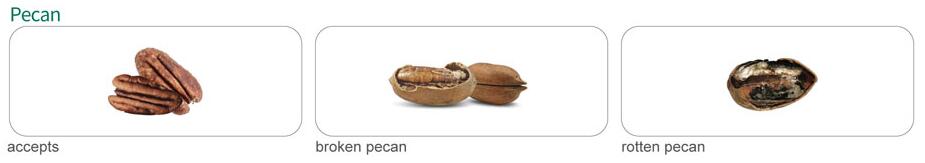 pecan color sorter pecan color sorter