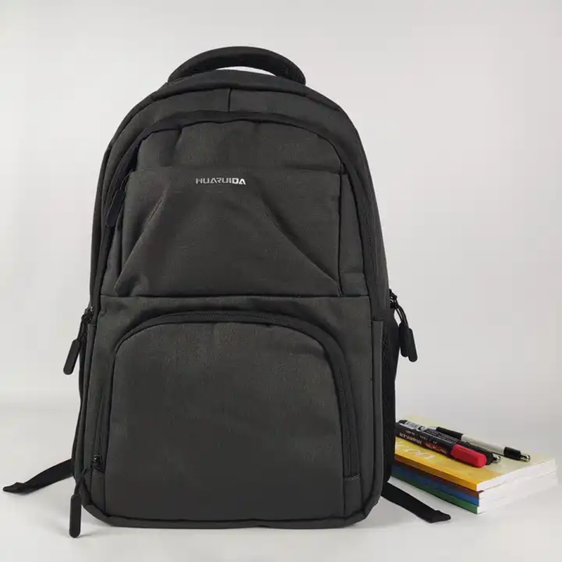 Travel Laptop Backpack Mens