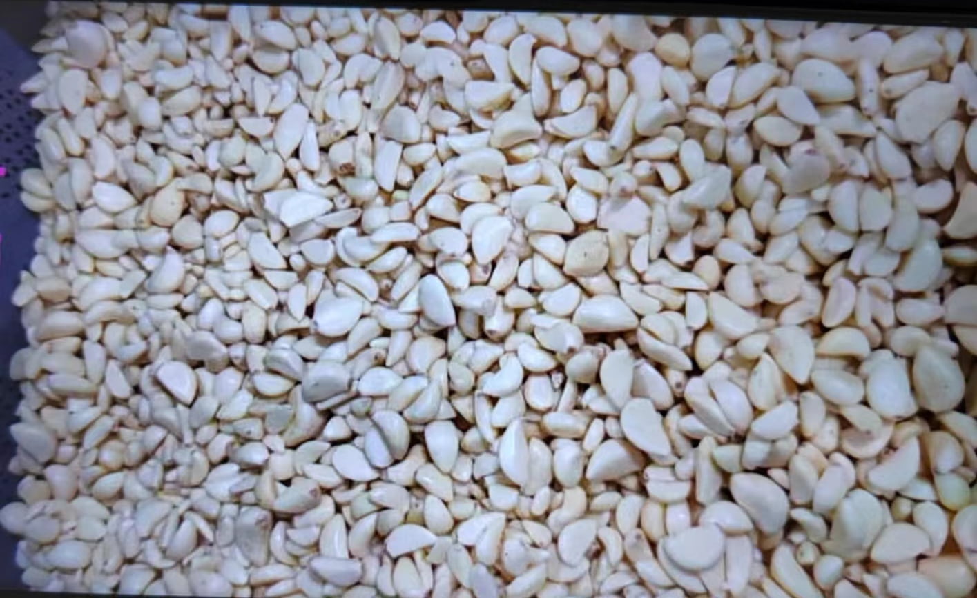 sorting machine price sorting machine price