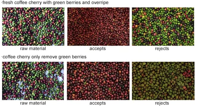 coffee color sorting machine coffee color sorting machine