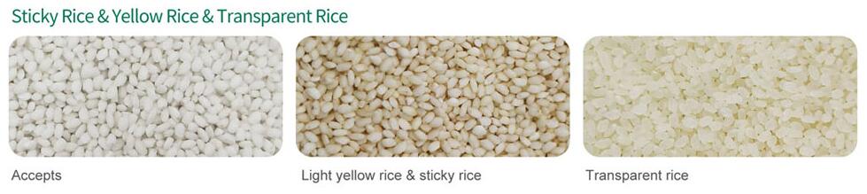 rice colour sorter