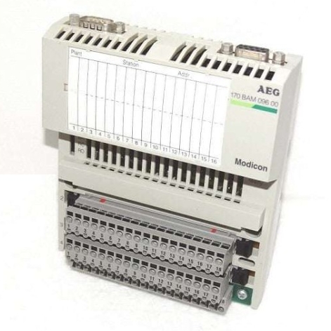 Schneider 170 BAM 096 00