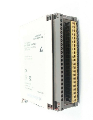 Schneider ASBDAP218