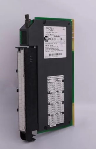 Allen Bradley 1771-OBN