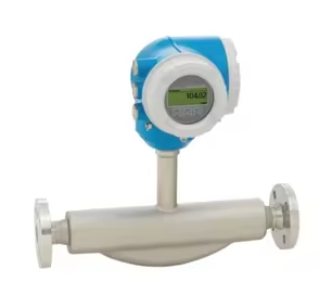 Endress+Hauser Proline Promass H 300