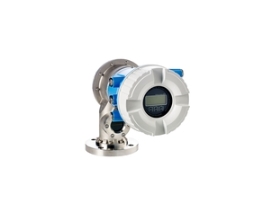 Endress+Hauser NMS81