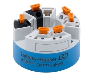 Endress+Hauser TMT31