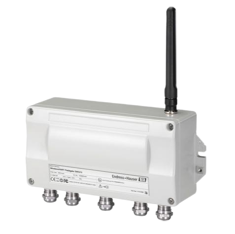 Endress+Hauser SWG70