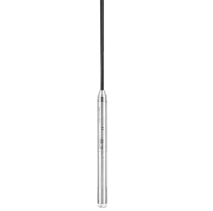 Endress+Hauser Waterpilot FMX21