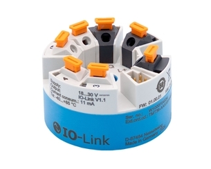 Endress+Hauser TMT36