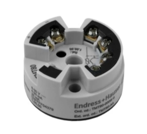 Endress+Hauser TMT80