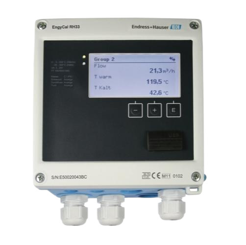 Endress+Hauser RH33