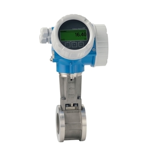 Endress+Hauser Proline Prowirl D 200