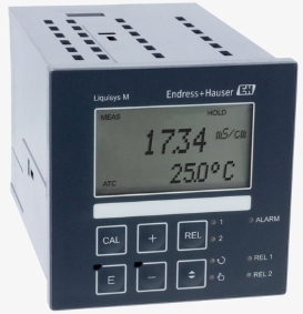 Endress+Hauser CLM223