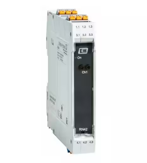 Endress+Hauser RN42