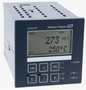 Endress+Hauser COM223