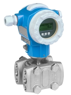 Endress+Hauser PMD75