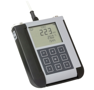 Endress+Hauser CYM291