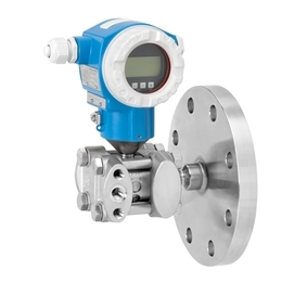 Endress+Hauser FMD77