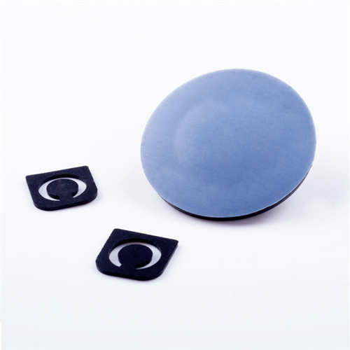 Diaphragm for Lebinger Vacuum Pump Spare Parts 1576 Diaphragm for Lebinger Vacuum Pump Spare Parts 1576