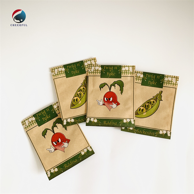Brown Biodegradable Paper Pouch OEM biodegradable Bags