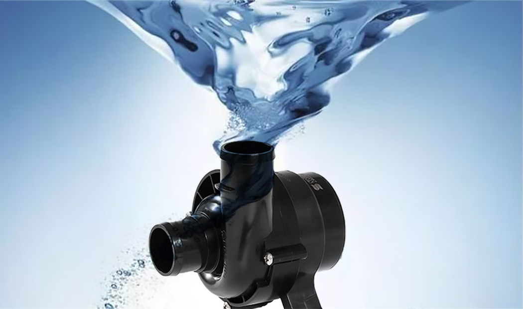 DC Motor Pump DC Motor Pump