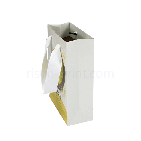 Glossy Paper Bag Glossy Paper Bag
