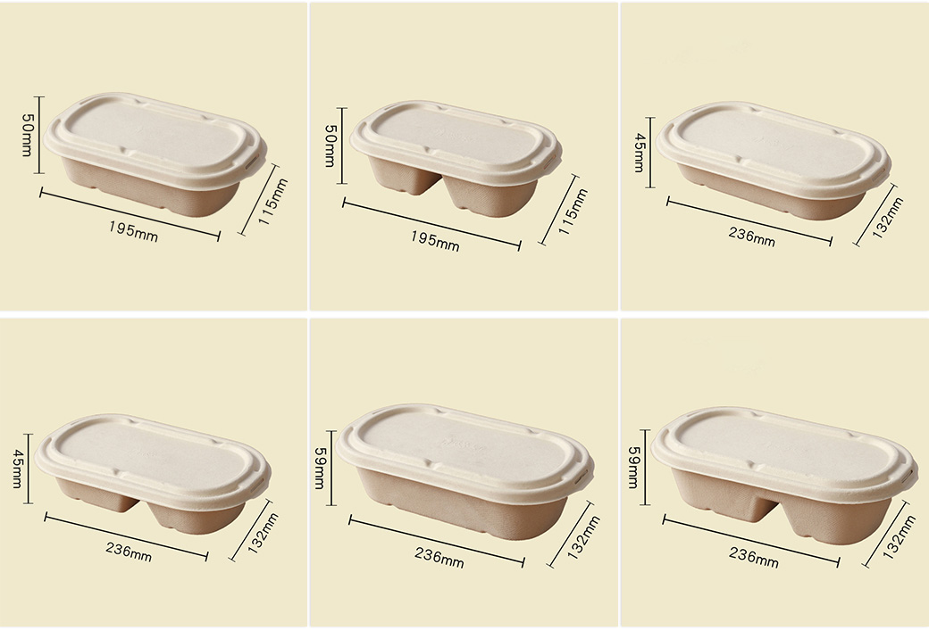 Sugarcane Bagasse Container Manufacturer Sugarcane Bagasse Container Manufacturer