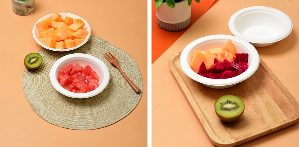 Sugarcane Bagasse Bowls Supplier Sugarcane Bagasse Bowls Supplier