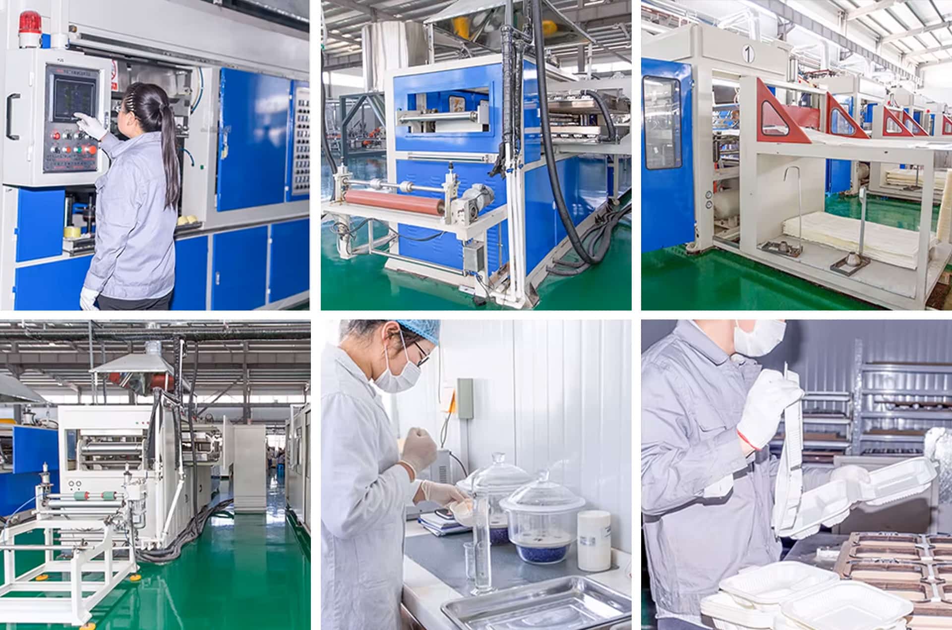 Cornstarch Tableware Manufacturer Cornstarch Tableware Manufacturer