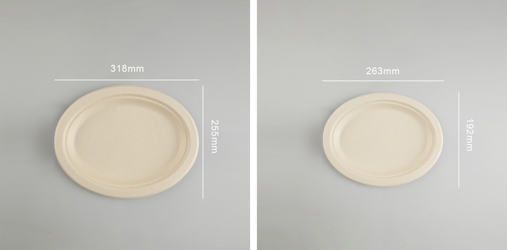 Sugarcane Bagasse Oval Plate Sugarcane Bagasse Oval Plate
