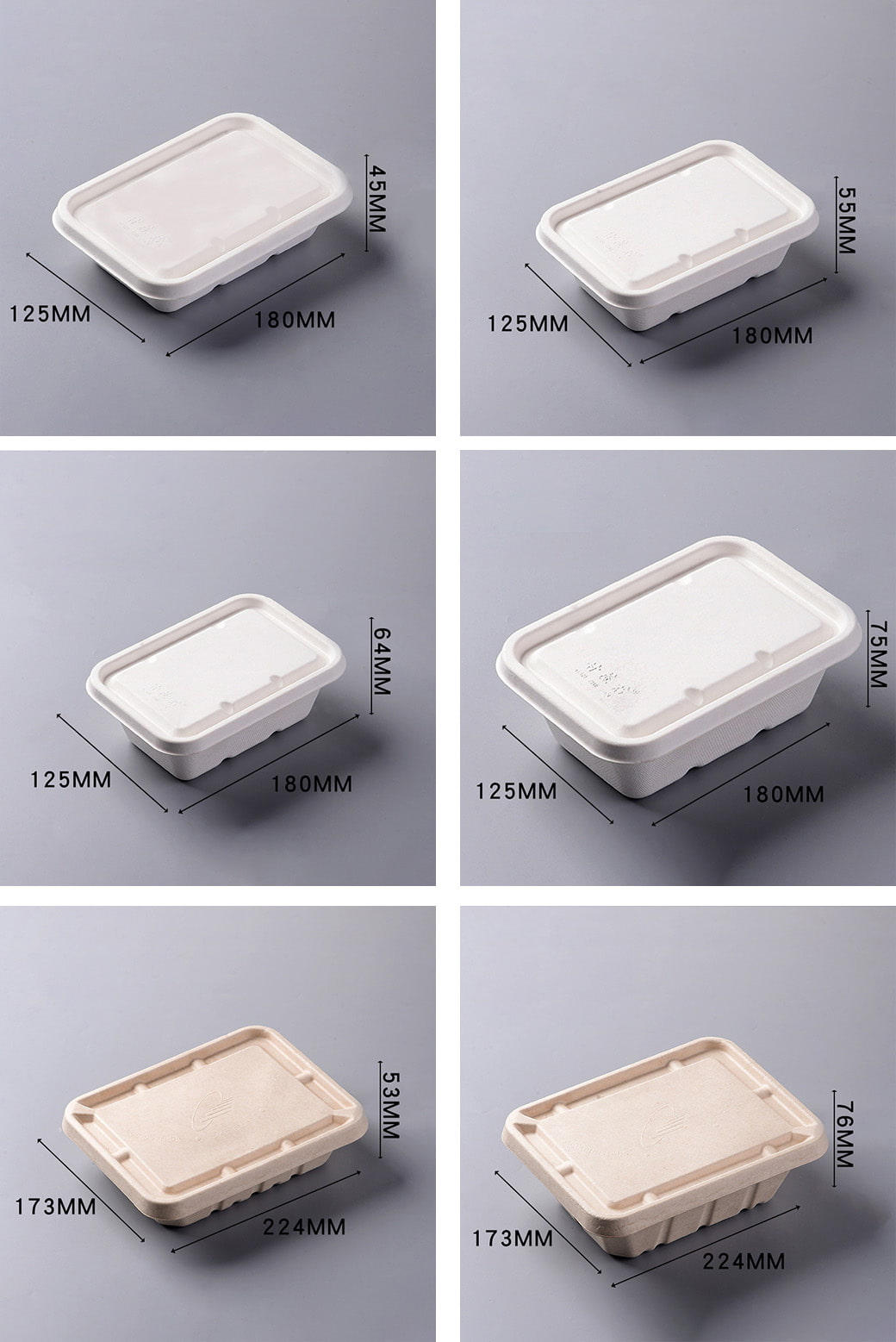 Sugarcane Bagasse Container Manufacturer Sugarcane Bagasse Container Manufacturer
