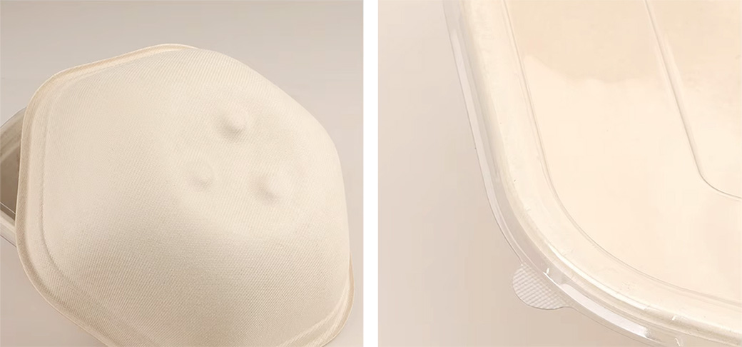 Sugarcane Bagasse Bowls Manufacturer Sugarcane Bagasse Bowls Manufacturer