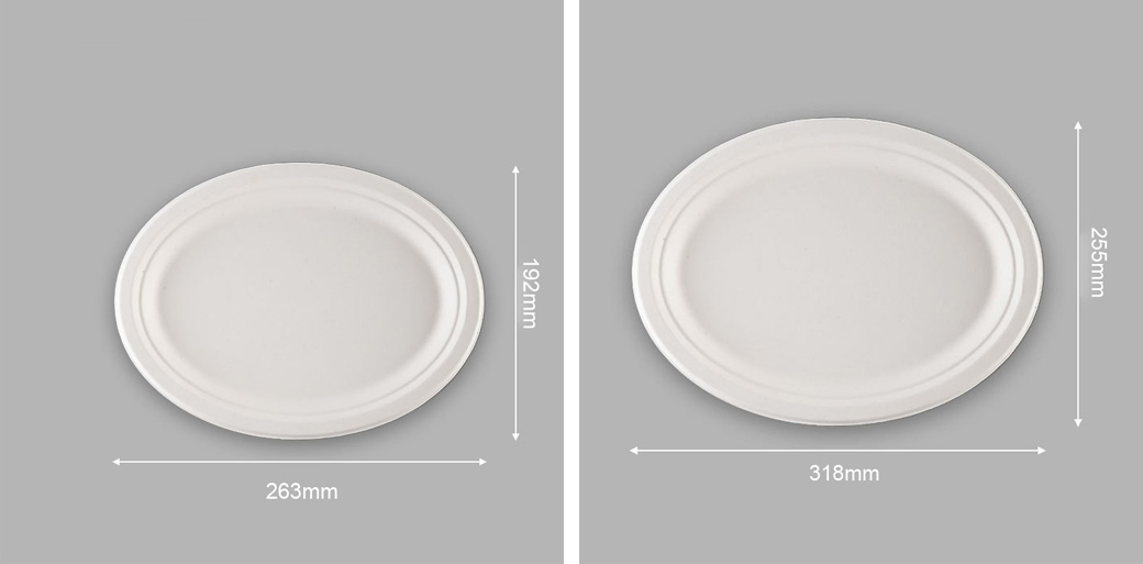Sugarcane Oval Plate Sugarcane Oval Plate