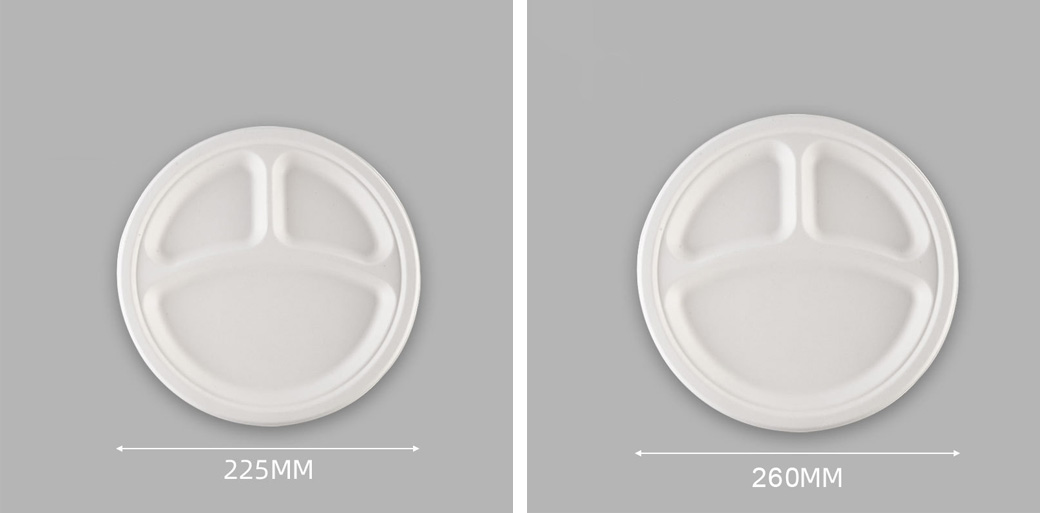 Sugarcane Bagasse 3 Compartment Plate Sugarcane Bagasse 3 Compartment Plate