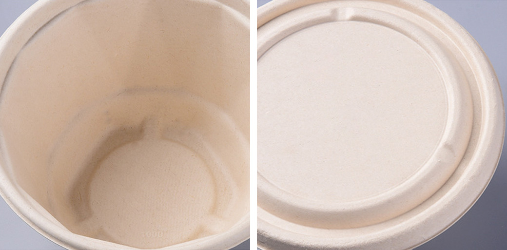 Sugarcane Bagasse Bowl Sugarcane Bagasse Bowl