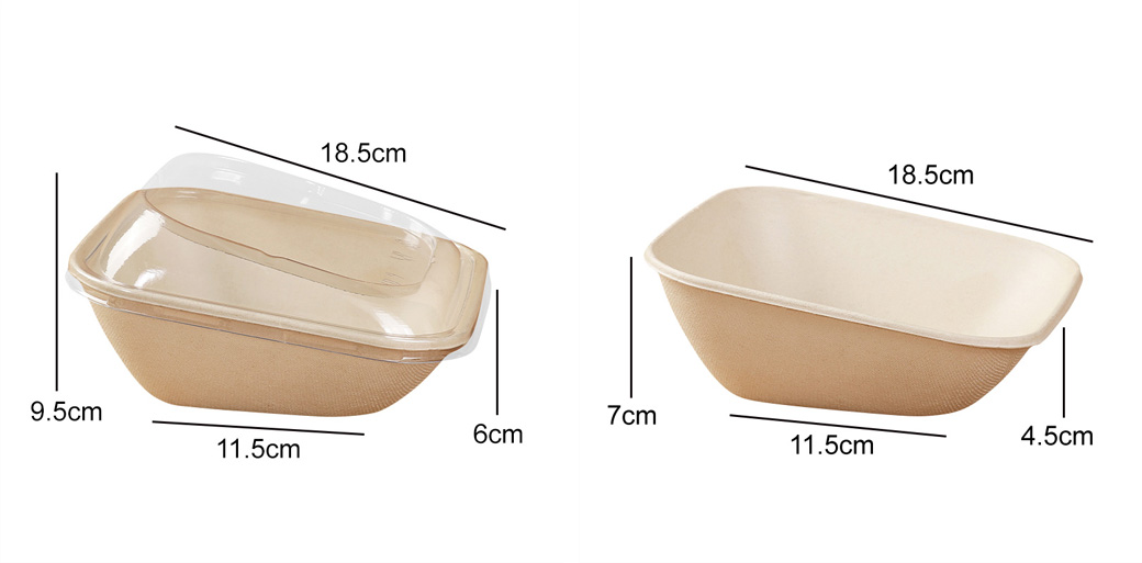 Bagasse Square Bowl Bagasse Square Bowl