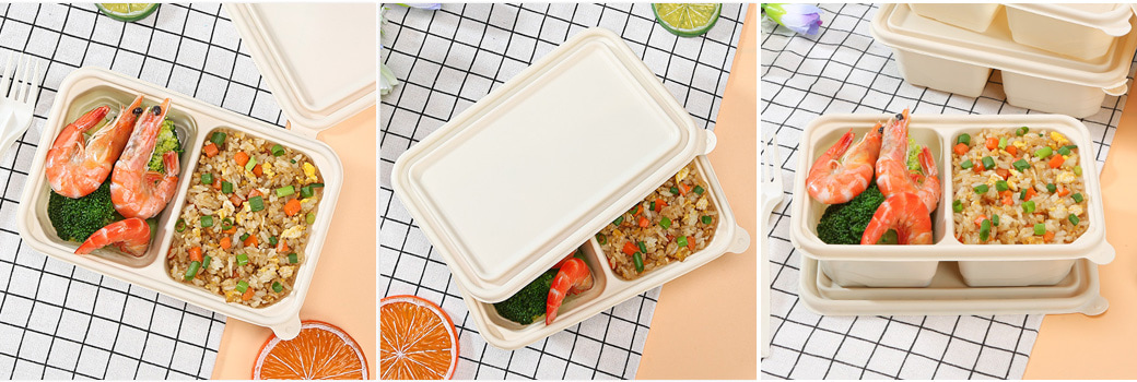 2 Compartments Cornstarch Containers 2 Compartments Cornstarch Containers