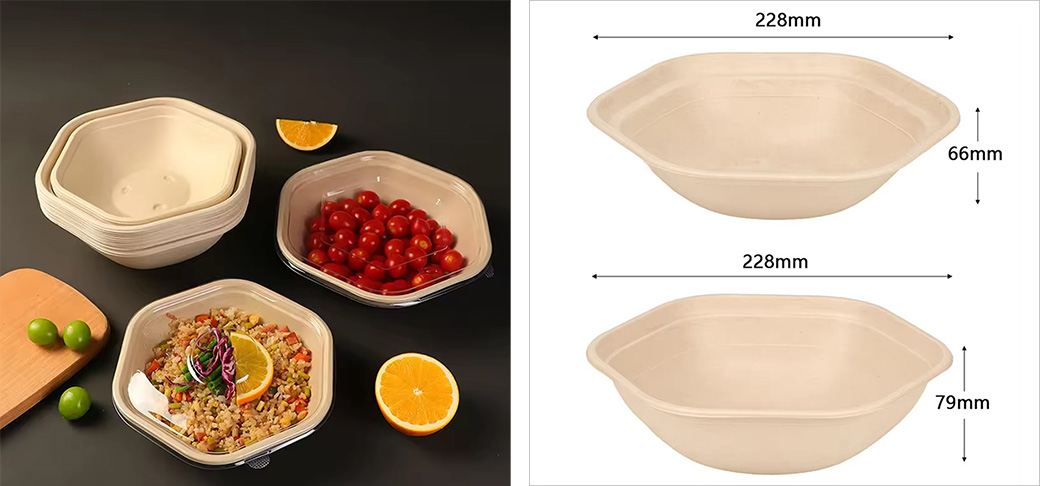 Sugarcane Bagasse Bowls Supplier Sugarcane Bagasse Bowls Supplier