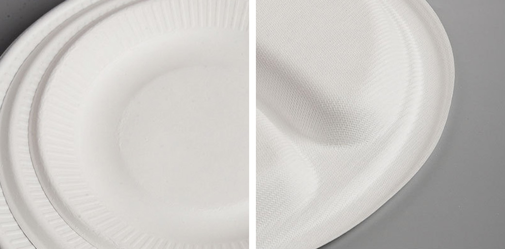 Sugarcane Round Plate Sugarcane Round Plate