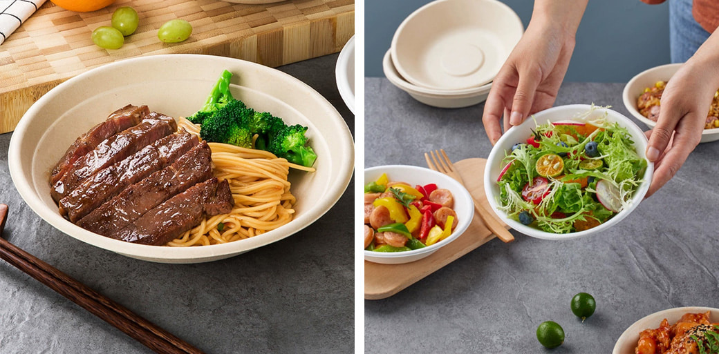 Sugarcane Bagasse Bowls Supplier Sugarcane Bagasse Bowls Supplier