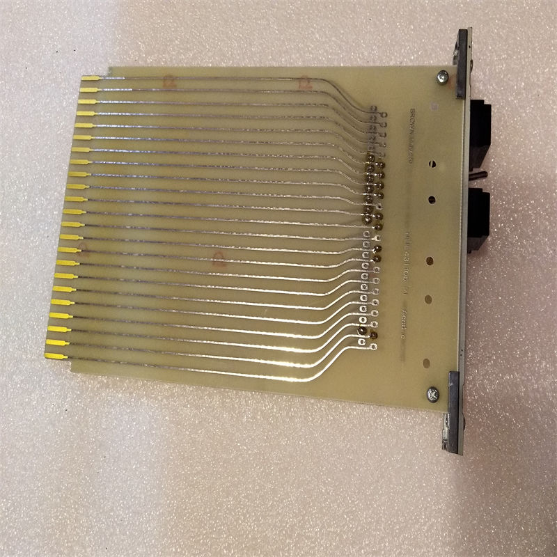XR8981V3 XR8981V3