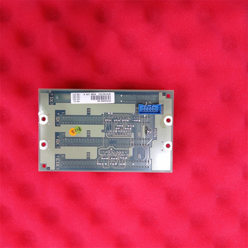 DSBB175 DSBB175