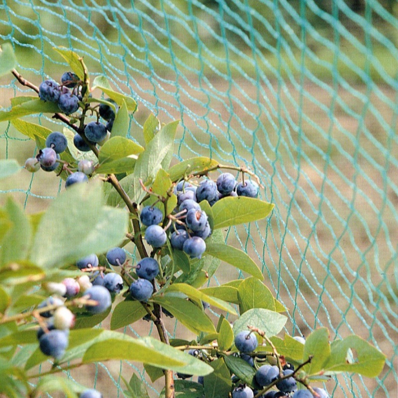 anti bird netting anti bird netting