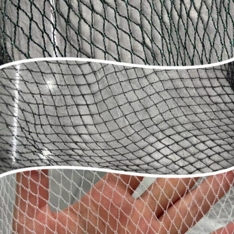 bird net bird net