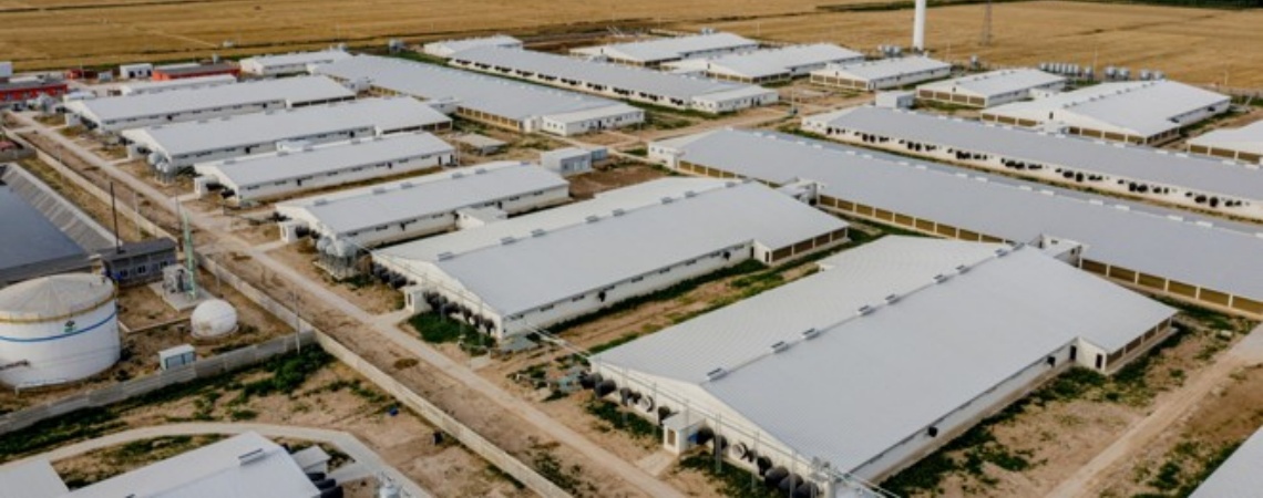 Australian Animal Husbandry Base 20000㎡ in 2018 Australian Animal Husbandry Base 20000㎡ in 2018