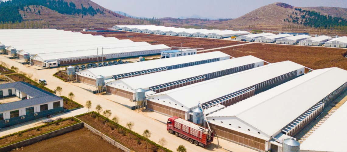 Kenya Farm 30000 m2 2016 Kenya Farm 30000 m2 2016