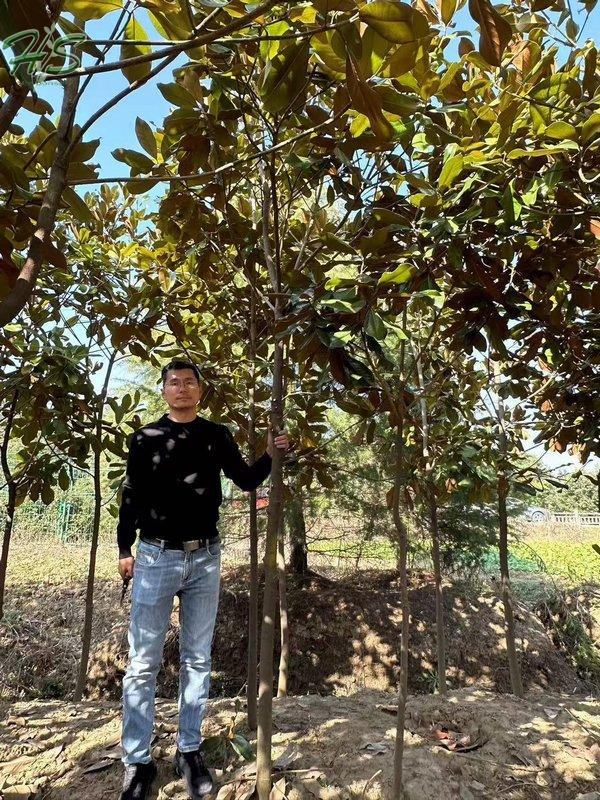 https://www.hsbonsai.cn/user/product/updateproduct/product_id/304/curr_page/0 https://www.hsbonsai.cn/user/product/updateproduct/product_id/304/curr_page/0